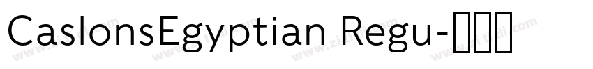 CaslonsEgyptian Regu字体转换 CaslonsEgyptian Regu字体转换